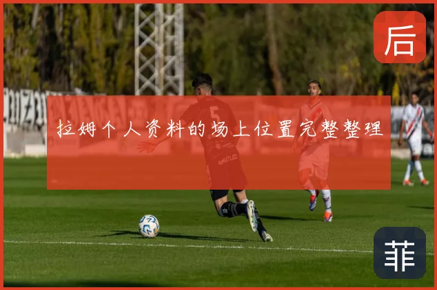 拉姆个人资料的场上位置完整整理