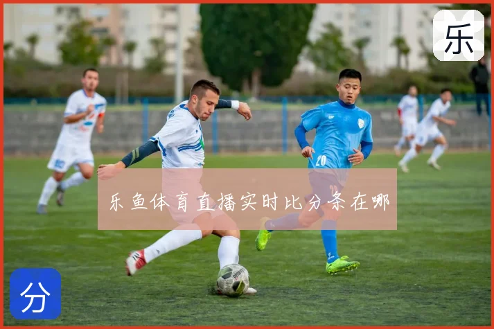 乐鱼体育直播实时比分条在哪